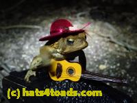 /home//u458753944/public_html/sourcegallery//Roxborough Toad Detour/2013-2019/2017/P4050683.JPG